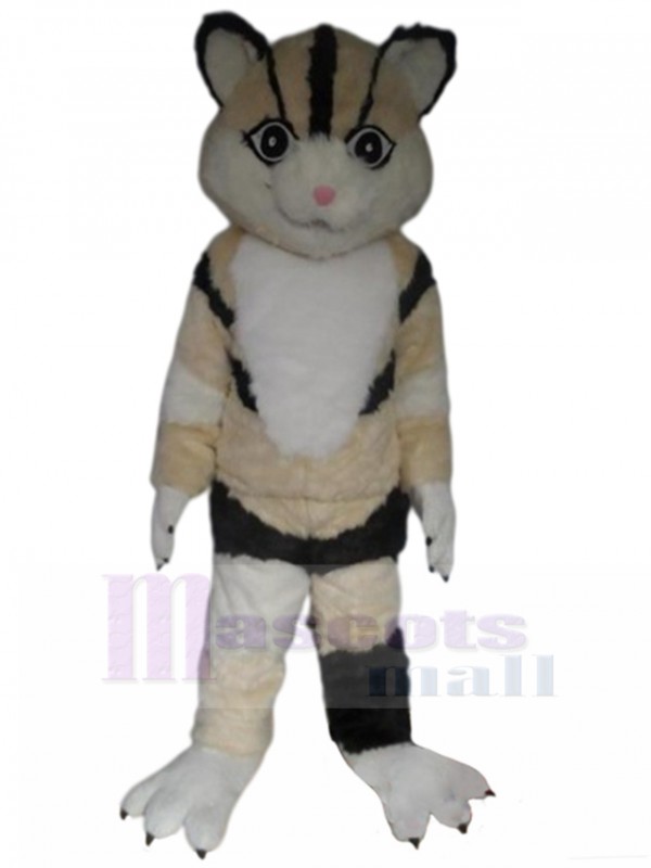Chat costume de mascotte