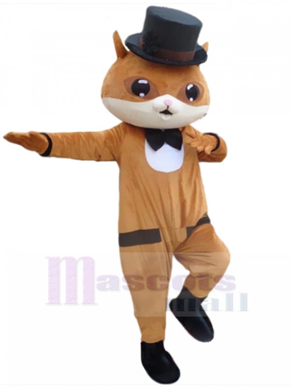 Chat costume de mascotte