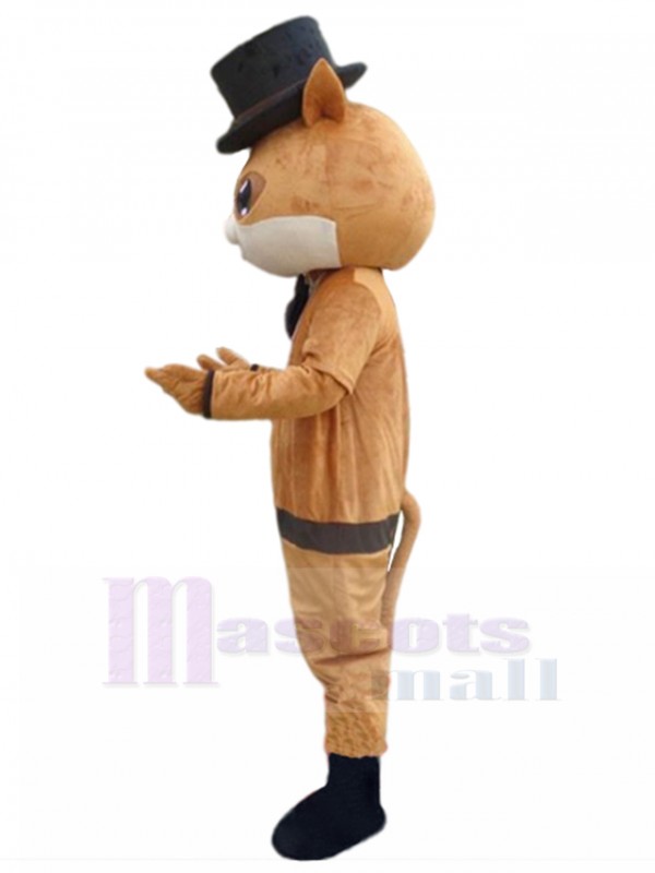 Chat costume de mascotte