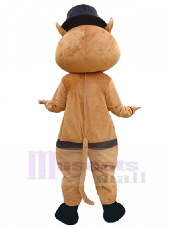 Chat costume de mascotte