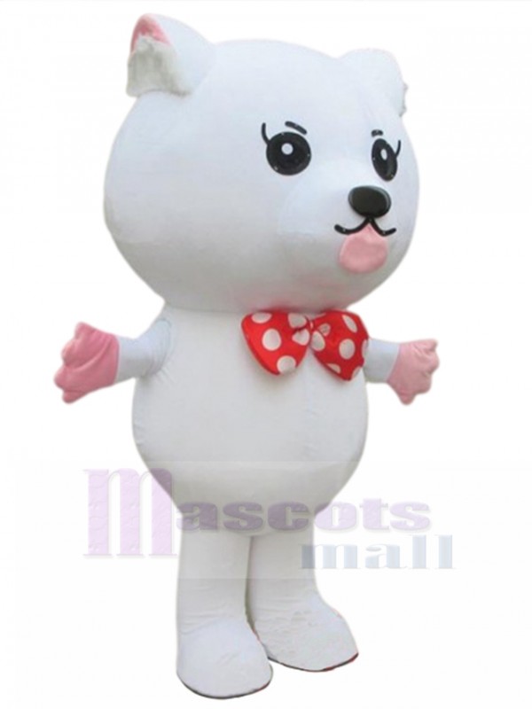 Chat costume de mascotte