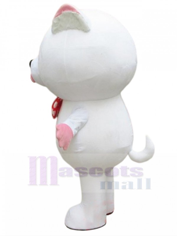 Chat costume de mascotte