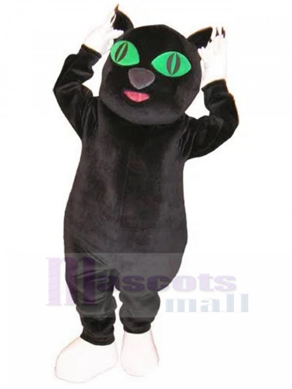 Chat costume de mascotte