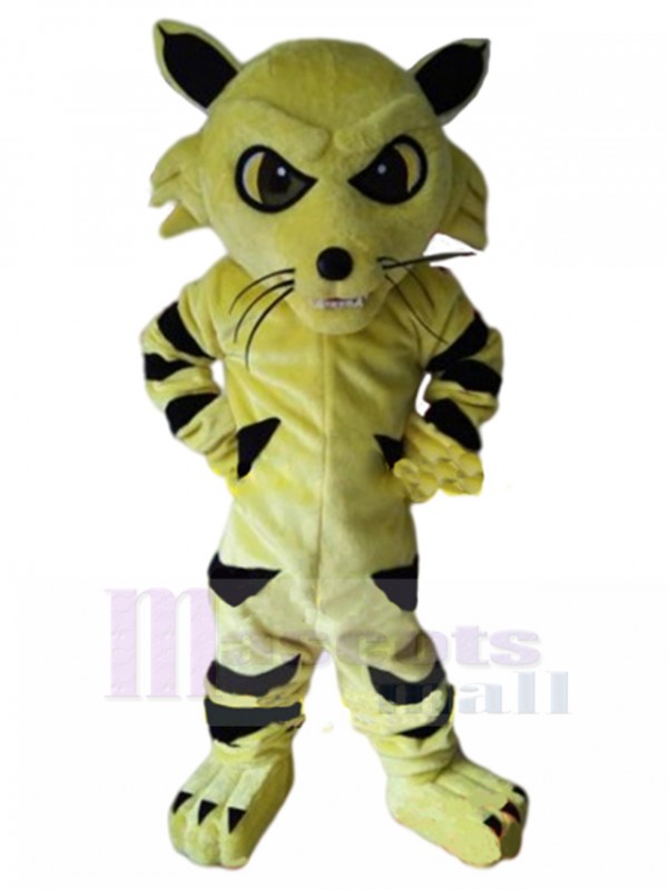 Chat costume de mascotte