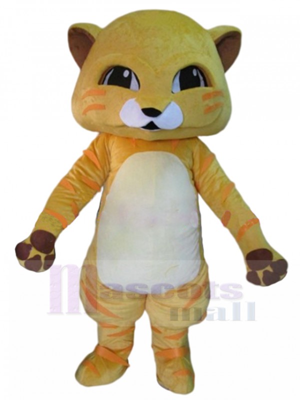 Chat costume de mascotte