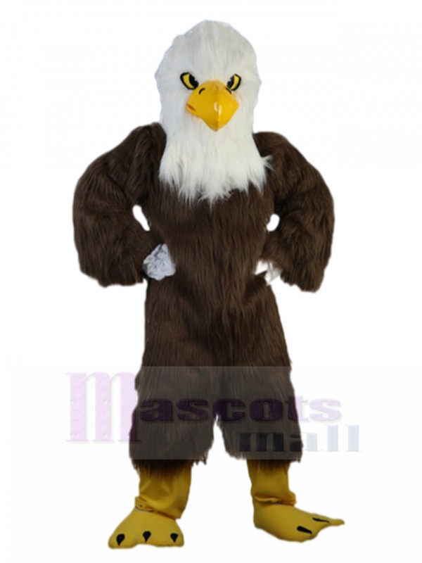 Aigle costume de mascotte