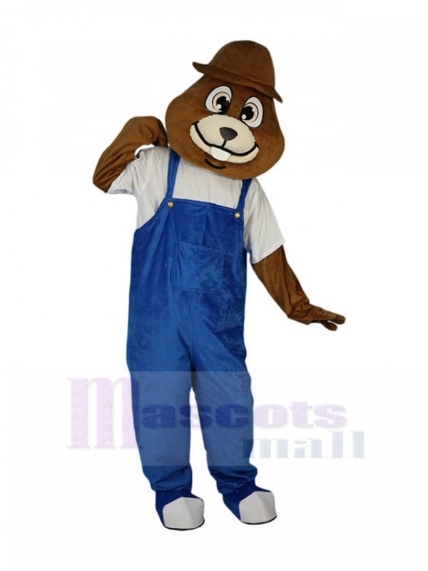 Taupe costume de mascotte