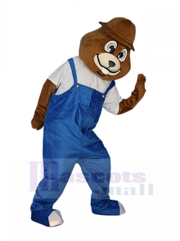 Taupe costume de mascotte