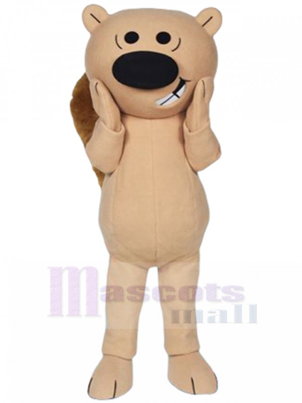 Écureuil costume de mascotte