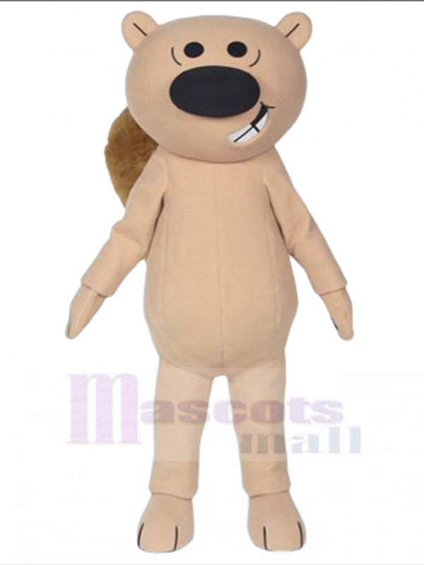 Écureuil costume de mascotte