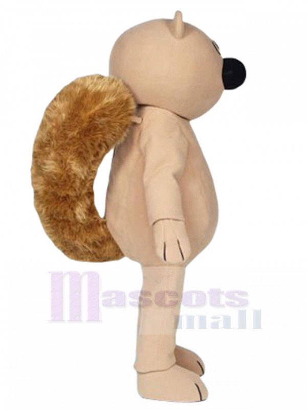 Écureuil costume de mascotte