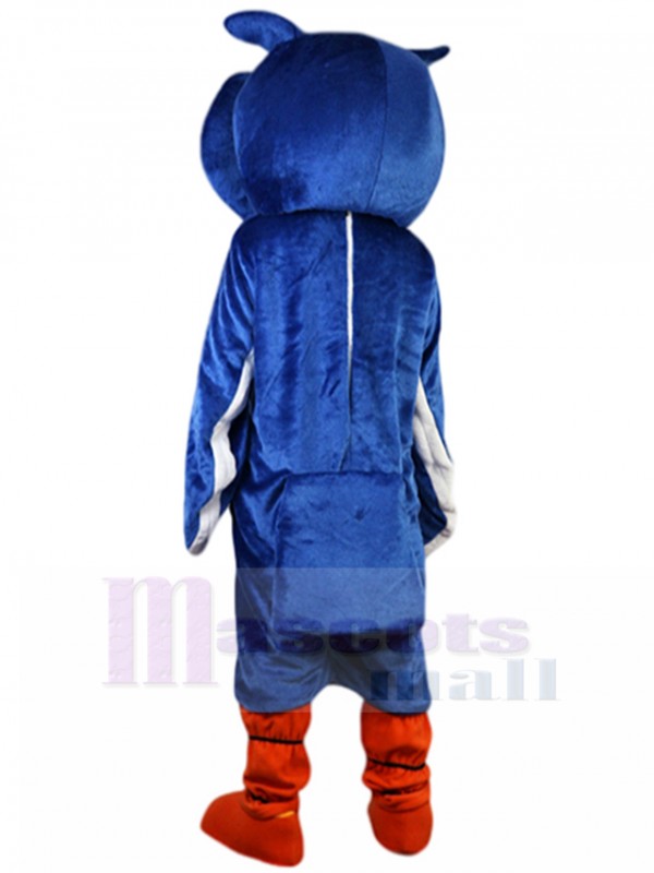 Hibou costume de mascotte