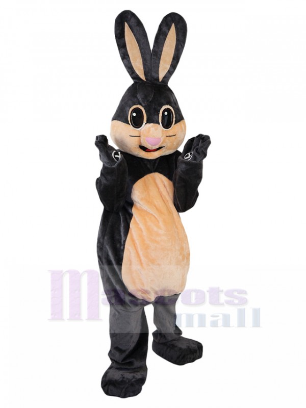 Lapin costume de mascotte