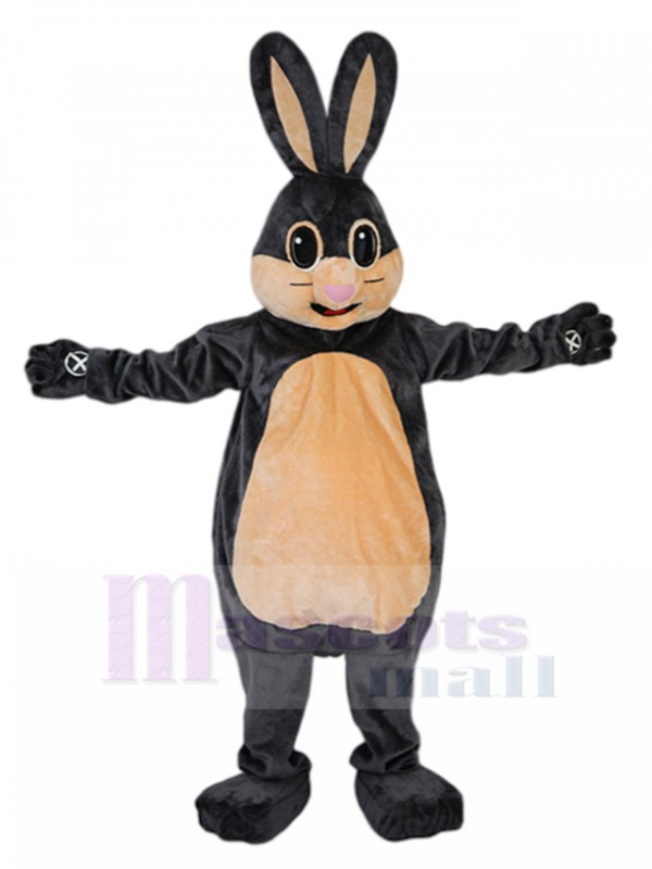 Lapin costume de mascotte