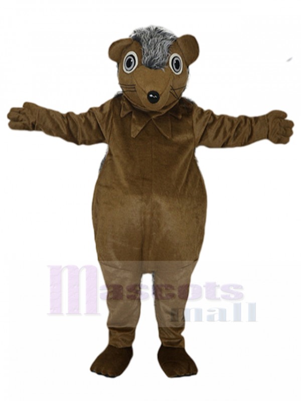 Hérisson Costume de Mascotte
