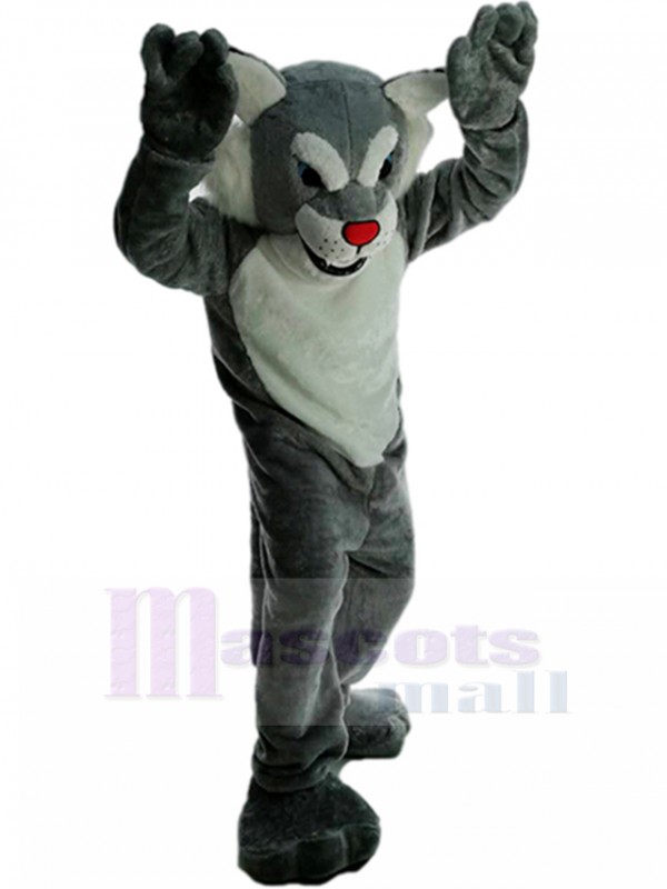Chat sauvage costume de mascotte