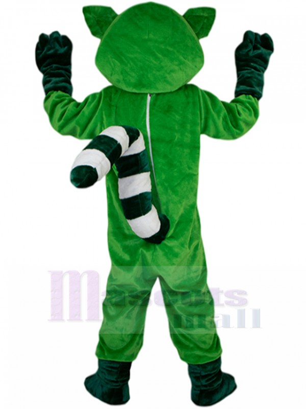Raton Laveur costume de mascotte