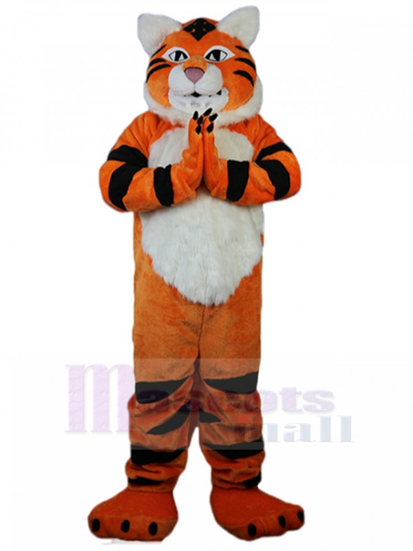 Tigre costume de mascotte