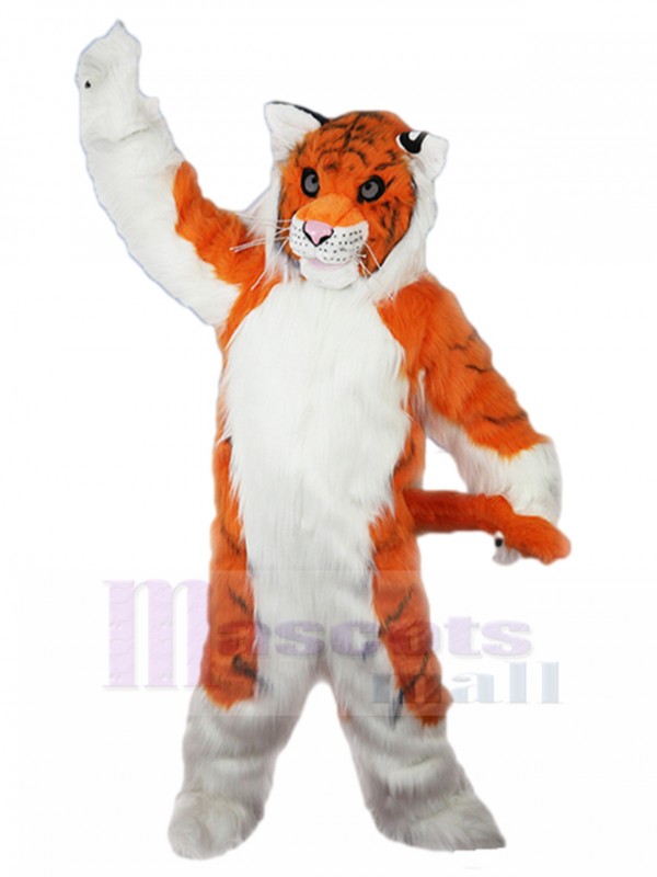 Tigre costume de mascotte