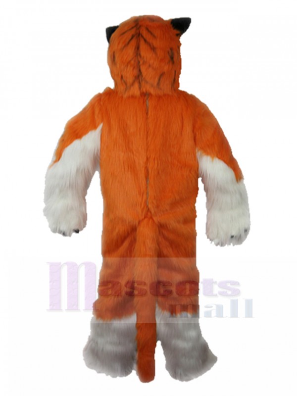 Tigre costume de mascotte