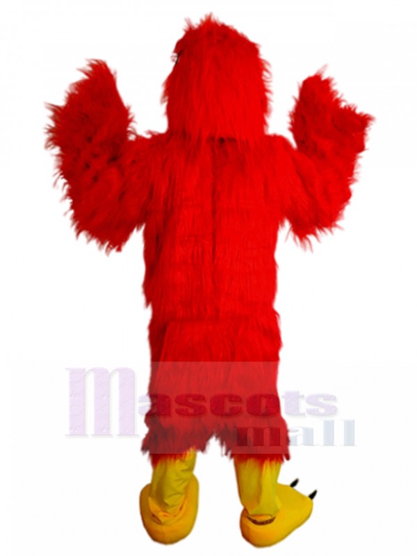 Aigle costume de mascotte