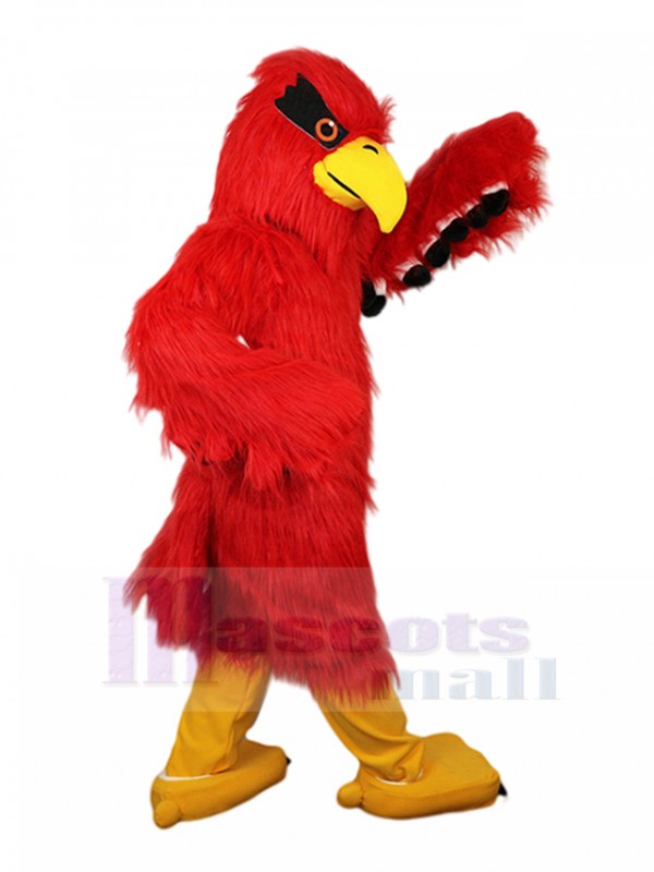 Aigle costume de mascotte