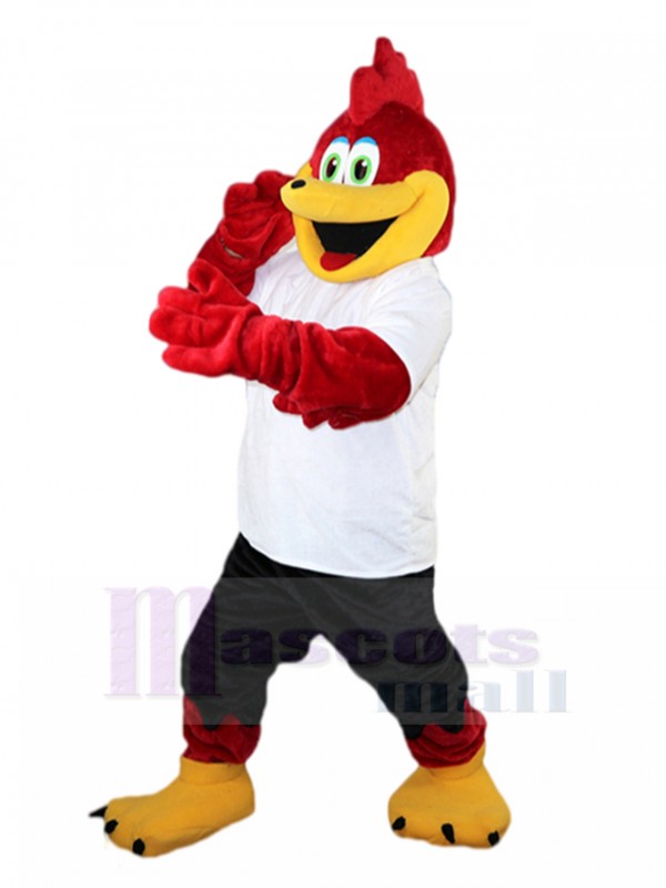 Oiseau costume de mascotte