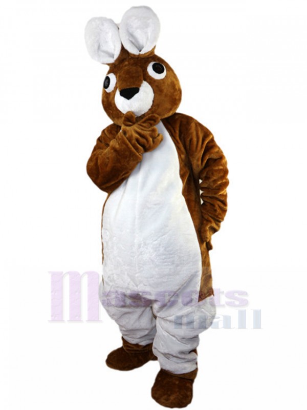 Lapin costume de mascotte