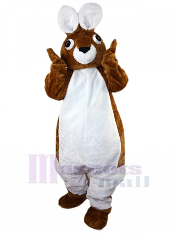 Lapin costume de mascotte