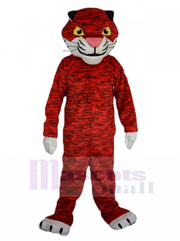 Tigre costume de mascotte