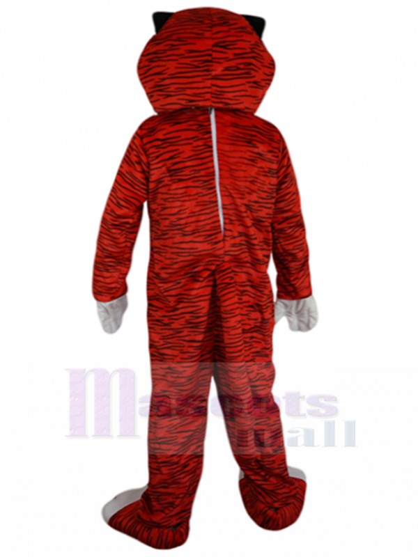Tigre costume de mascotte