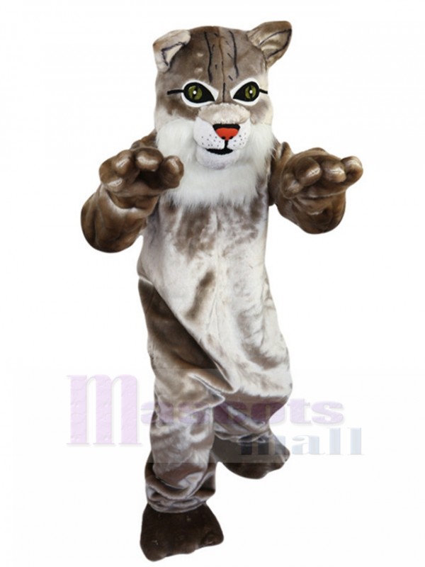 Chat sauvage costume de mascotte