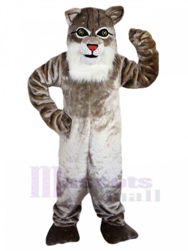 Chat sauvage costume de mascotte