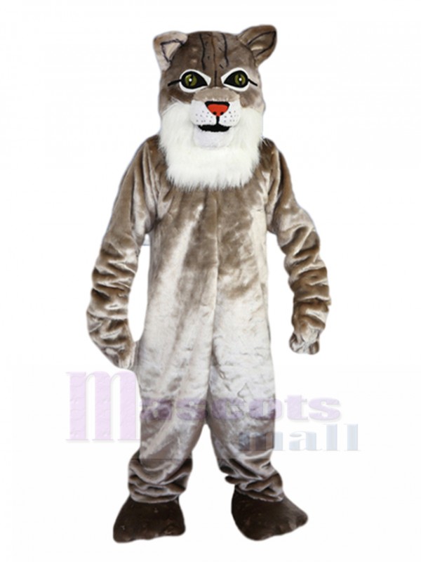 Chat sauvage costume de mascotte