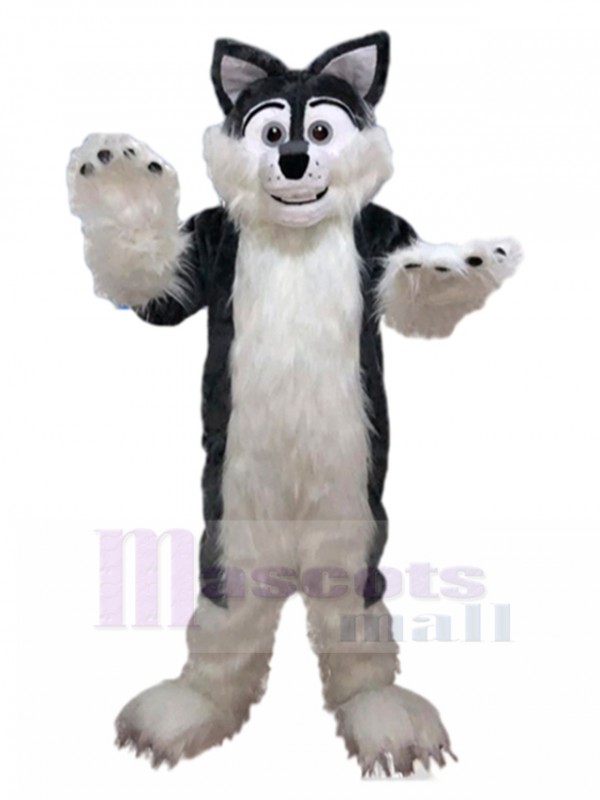 Loup costume de mascotte
