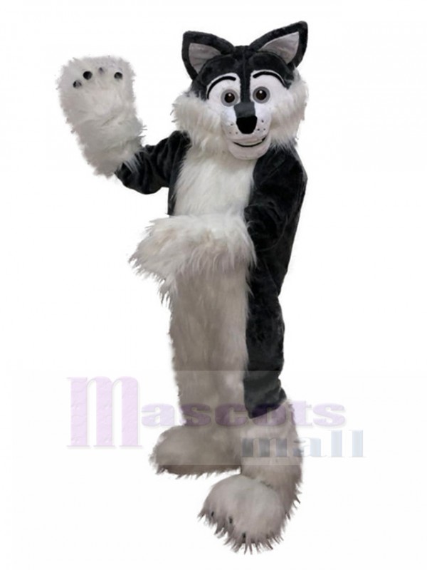 Loup costume de mascotte