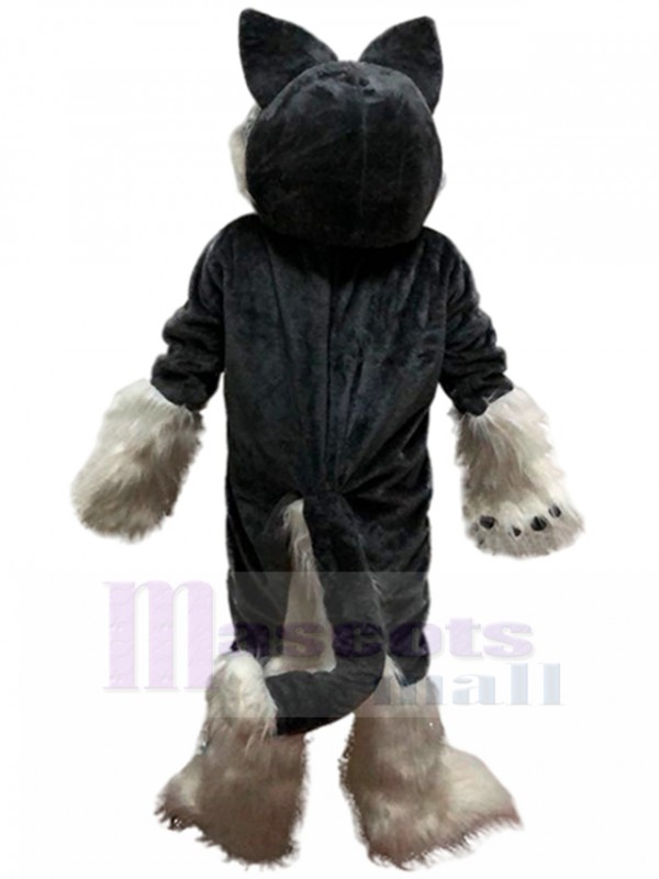 Loup costume de mascotte