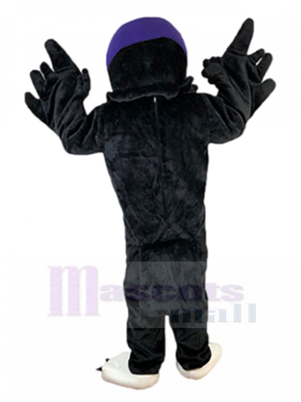 Aigle costume de mascotte