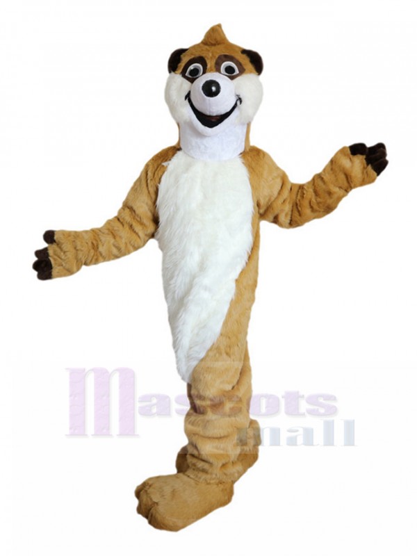 Raton Laveur costume de mascotte