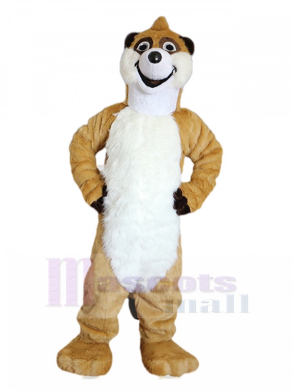 Raton Laveur costume de mascotte