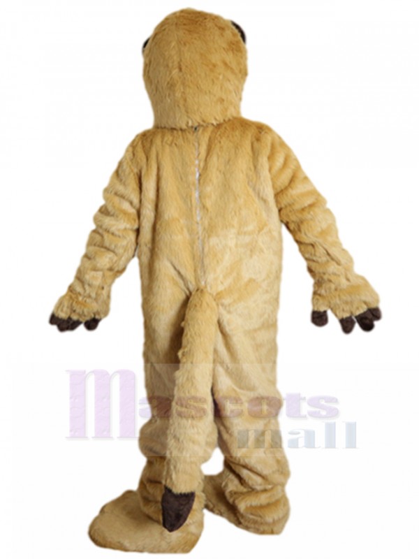 Raton Laveur costume de mascotte