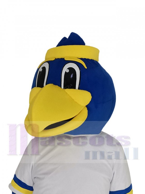 Oiseau costume de mascotte