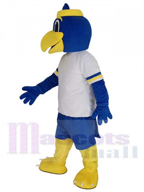 Oiseau costume de mascotte