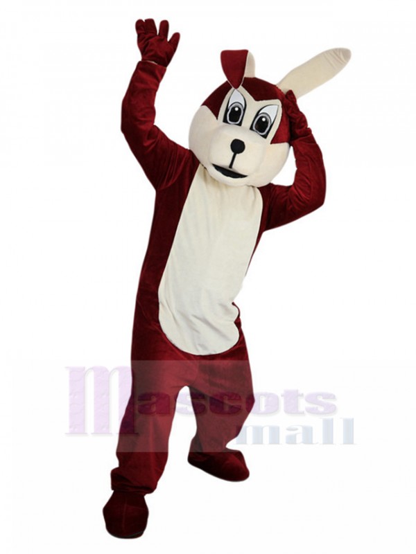 Loup costume de mascotte