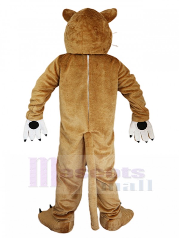 Tigre costume de mascotte