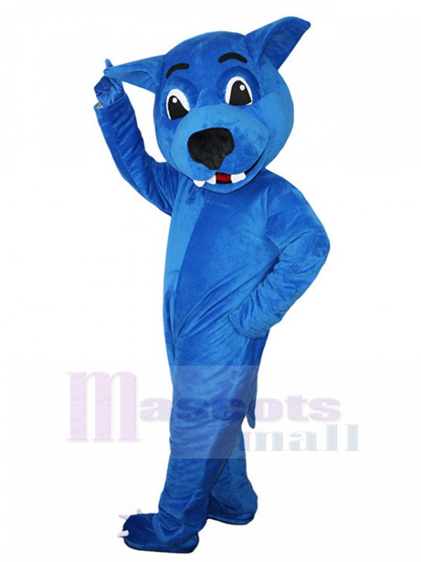 Loup costume de mascotte