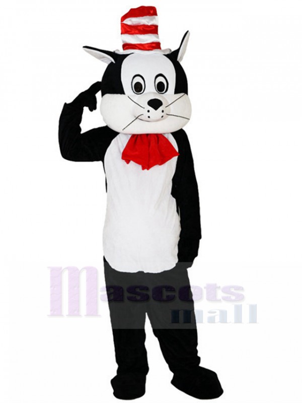 Chat costume de mascotte