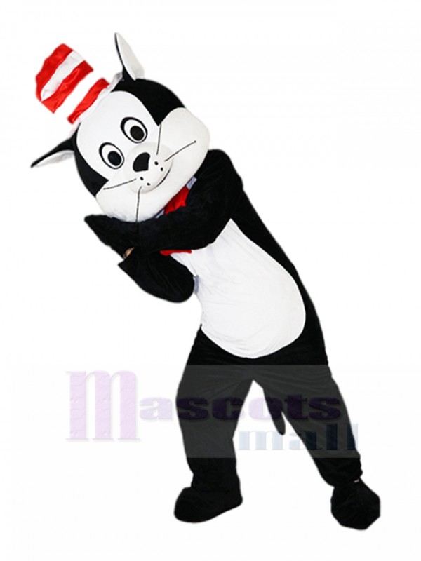 Chat costume de mascotte