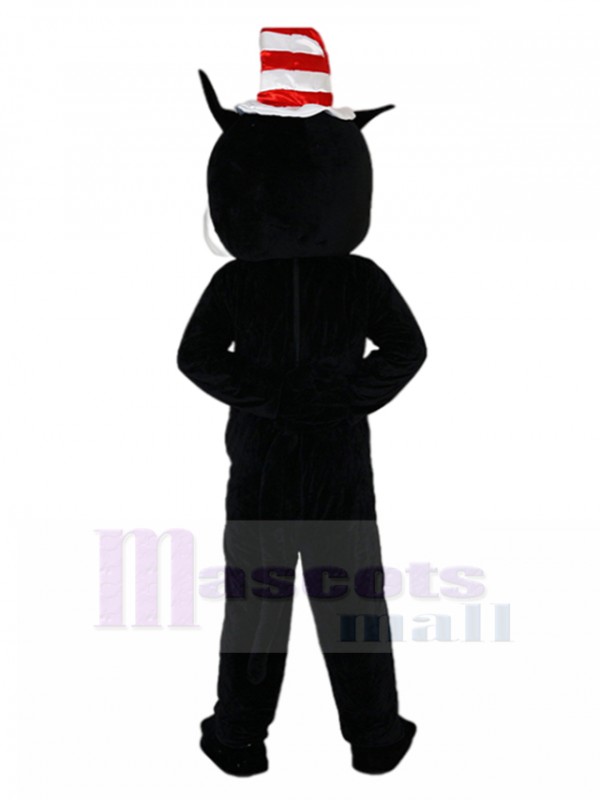 Chat costume de mascotte