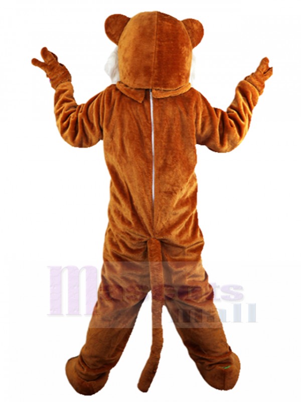 Tigre costume de mascotte